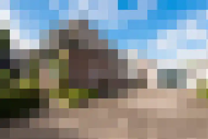 Kalverdijk 4 Tuitjenhorn thumbnail 5