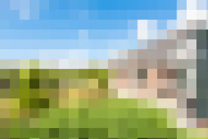 Kalverdijk 4 Tuitjenhorn thumbnail 51