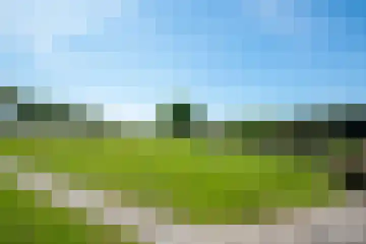 Kalverdijk 93 Tuitjenhorn thumbnail 4