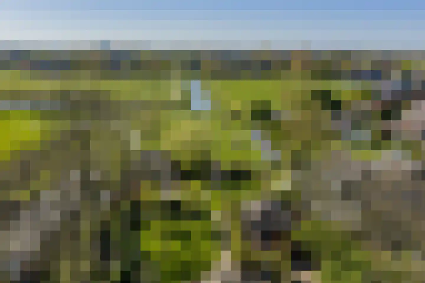 Kalverdijkerlaantje 6 Tuitjenhorn thumbnail 23