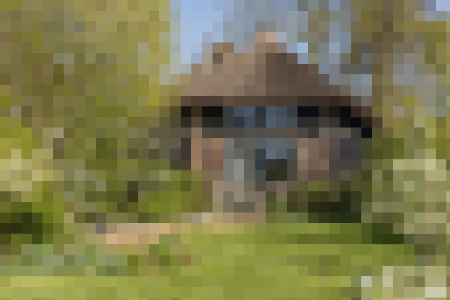 Kalverdijkerlaantje 6 Tuitjenhorn thumbnail 24