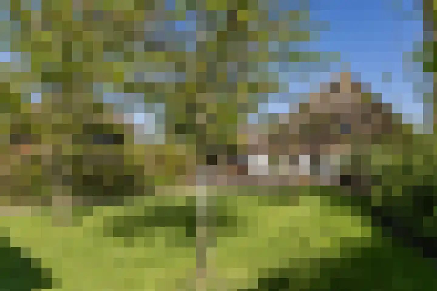 Kalverdijkerlaantje 6 Tuitjenhorn thumbnail 35