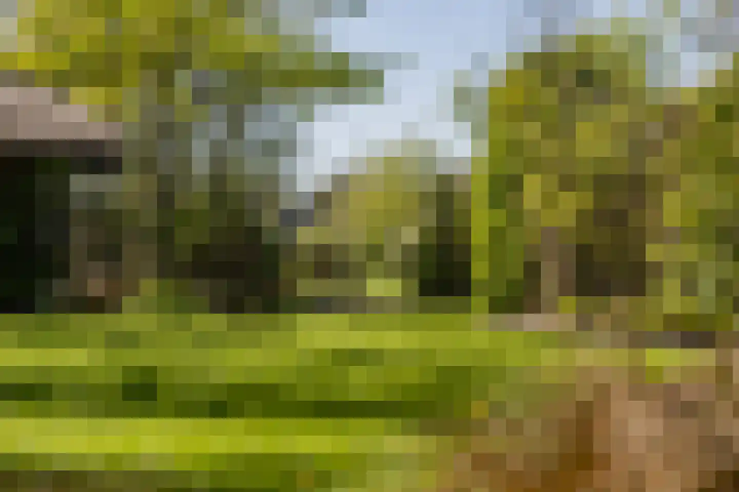 Kalverdijkerlaantje 6 Tuitjenhorn thumbnail 36