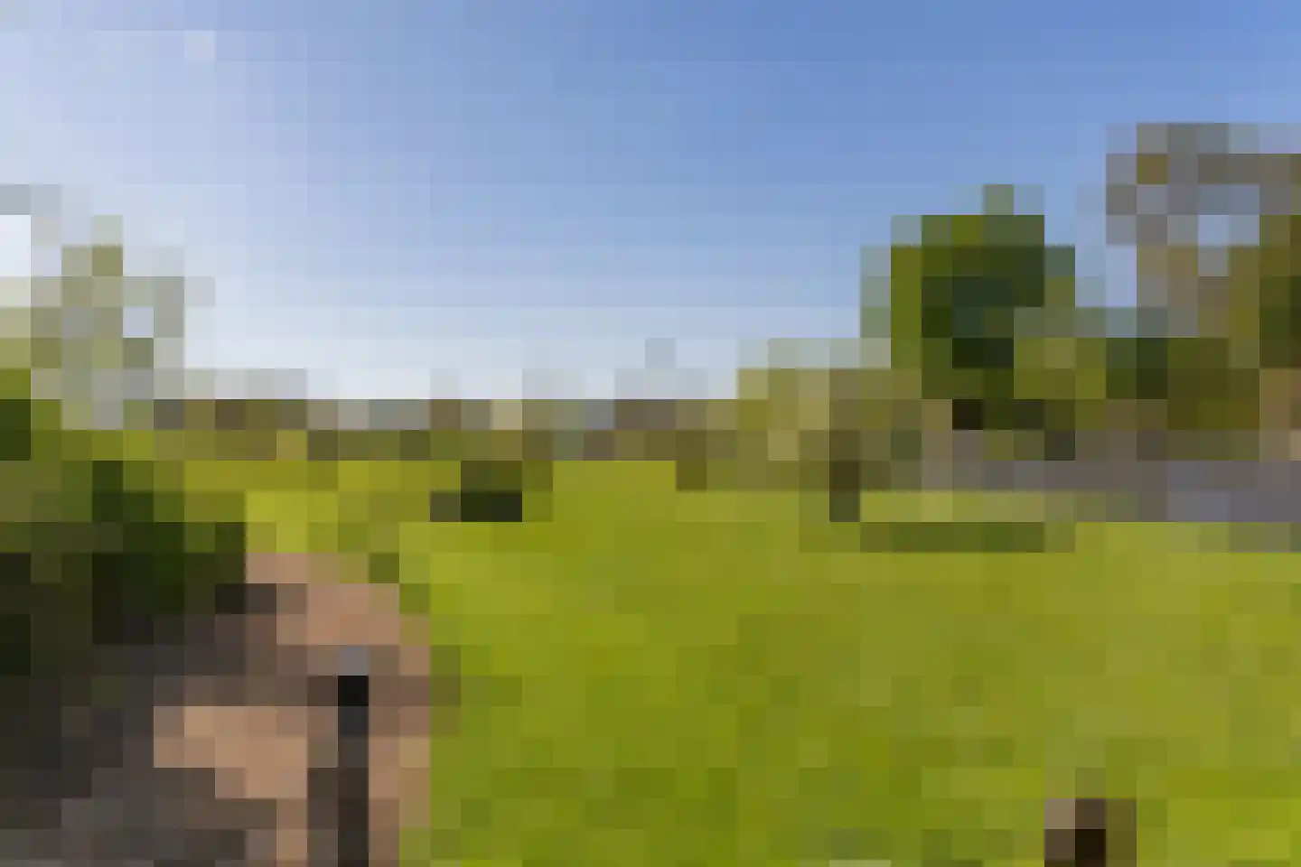 Kalverdijkerlaantje 6 Tuitjenhorn thumbnail 37
