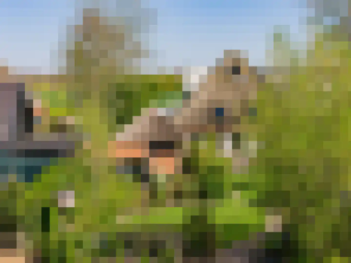 Kalverdijkerlaantje 6 Tuitjenhorn thumbnail 42