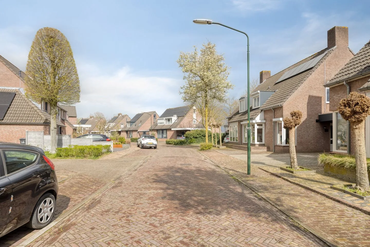 Kalverekker 9 Bladel thumbnail 4
