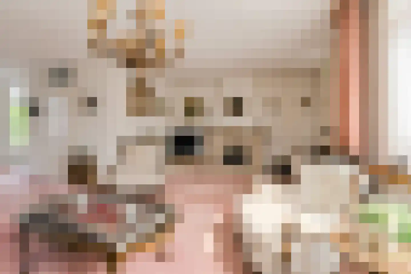 Kalverenblok 2 Breda thumbnail 10