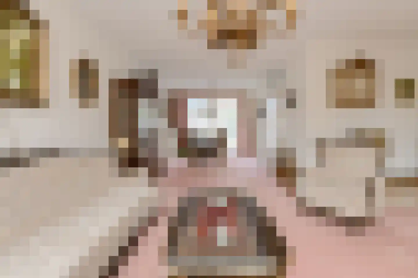 Kalverenblok 2 Breda thumbnail 11