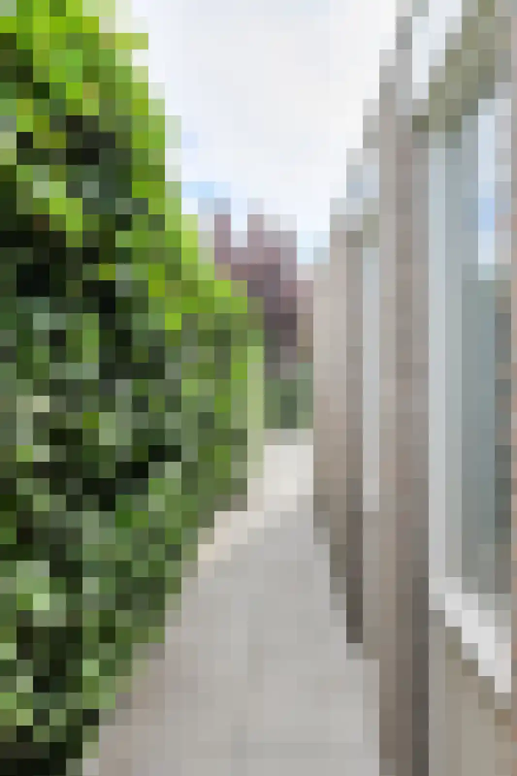 Kalverenblok 2 Breda thumbnail 41
