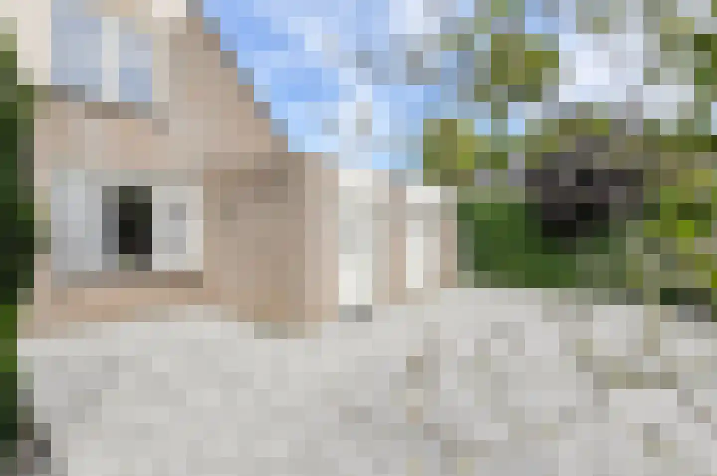 Kalverenblok 2 Breda thumbnail 5