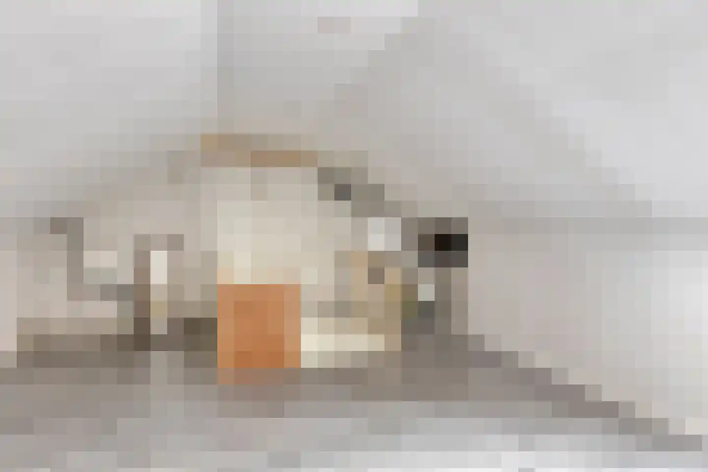Kalverhagen 1 Rotterdam thumbnail 25