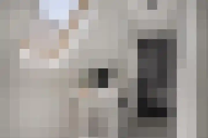 Kalverhekkenweg 20 Kampen thumbnail 10
