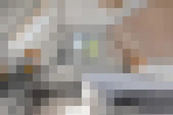 Kalverhekkenweg 20 Kampen thumbnail 11