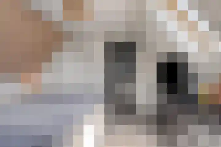 Kalverhekkenweg 20 Kampen thumbnail 13
