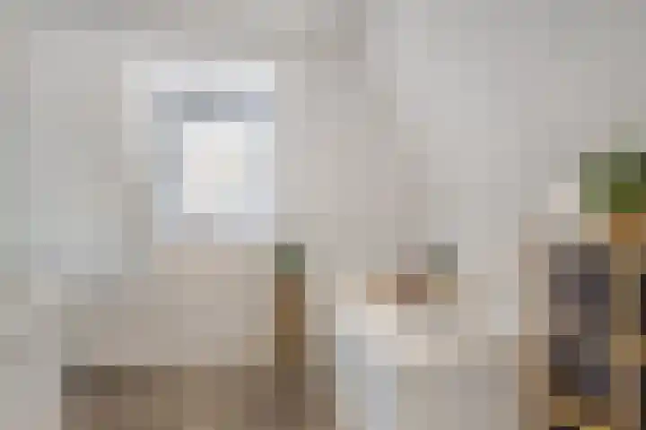 Kalverhekkenweg 20 Kampen thumbnail 14