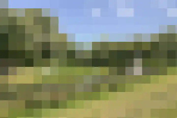 Kalverhekkenweg 20 Kampen thumbnail 25