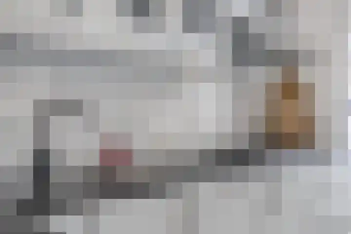 Kalverhekkenweg 20 Kampen thumbnail 8