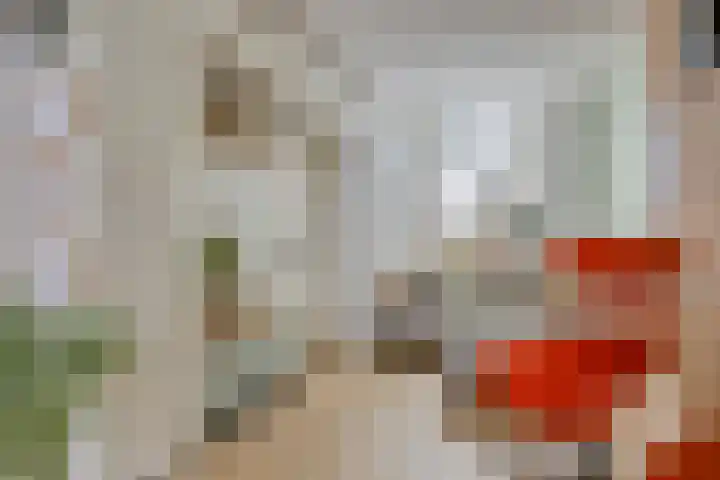 Kalverhekkenweg 21 Kampen thumbnail 11