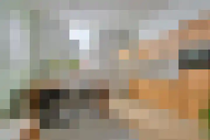 Kalverhekkenweg 21 Kampen thumbnail 14