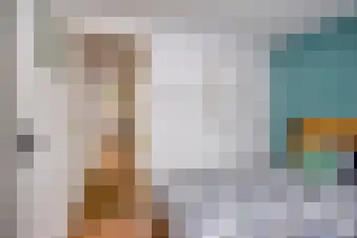 Kalverhekkenweg 21 Kampen thumbnail 4