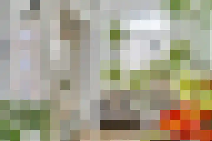 Kalverhekkenweg 21 Kampen thumbnail 8