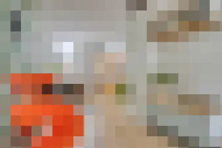 Kalverhekkenweg 21 Kampen thumbnail 9