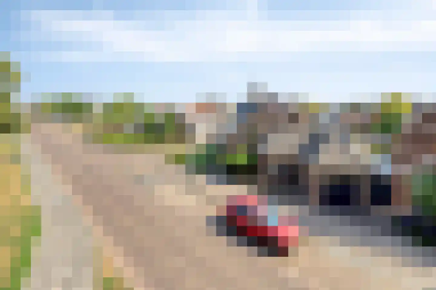 Kalverhekkenweg 37 Kampen thumbnail 11