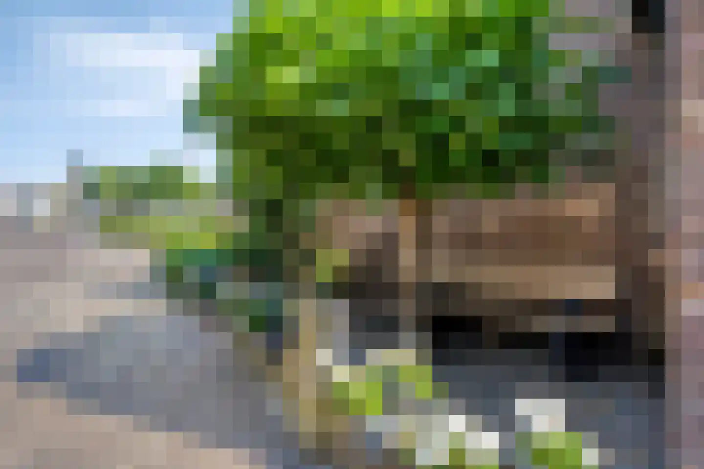 Kalverhekkenweg 37 Kampen thumbnail 17