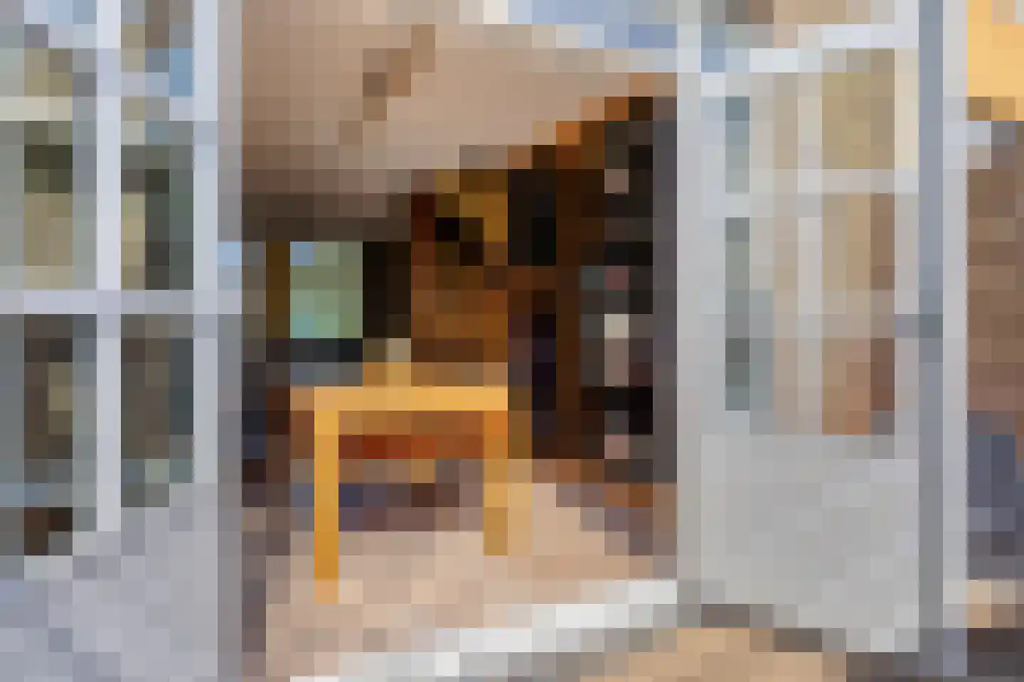 Kalverhekkenweg 37 Kampen thumbnail 4