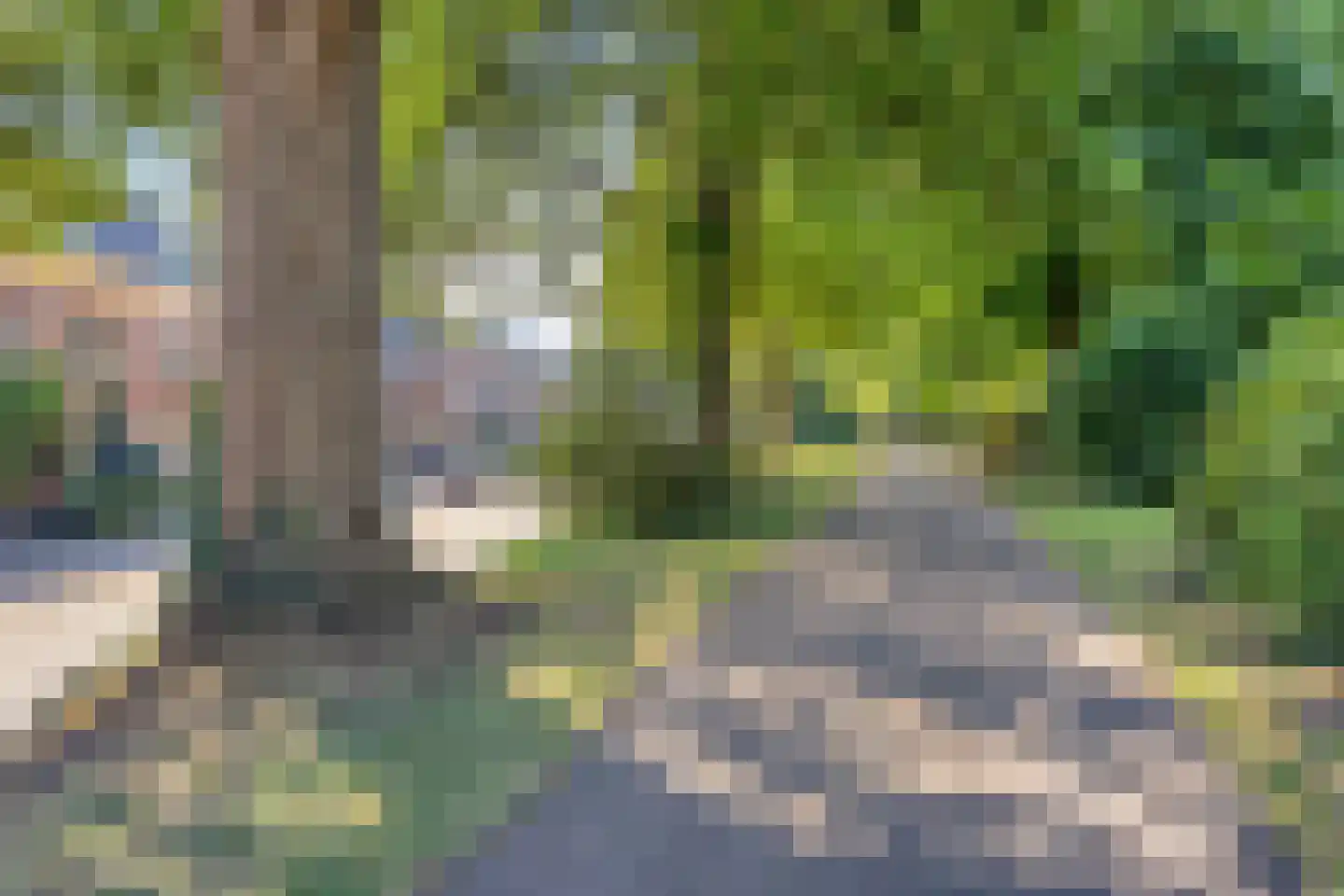 Kalverhekkenweg 37 Kampen thumbnail 59