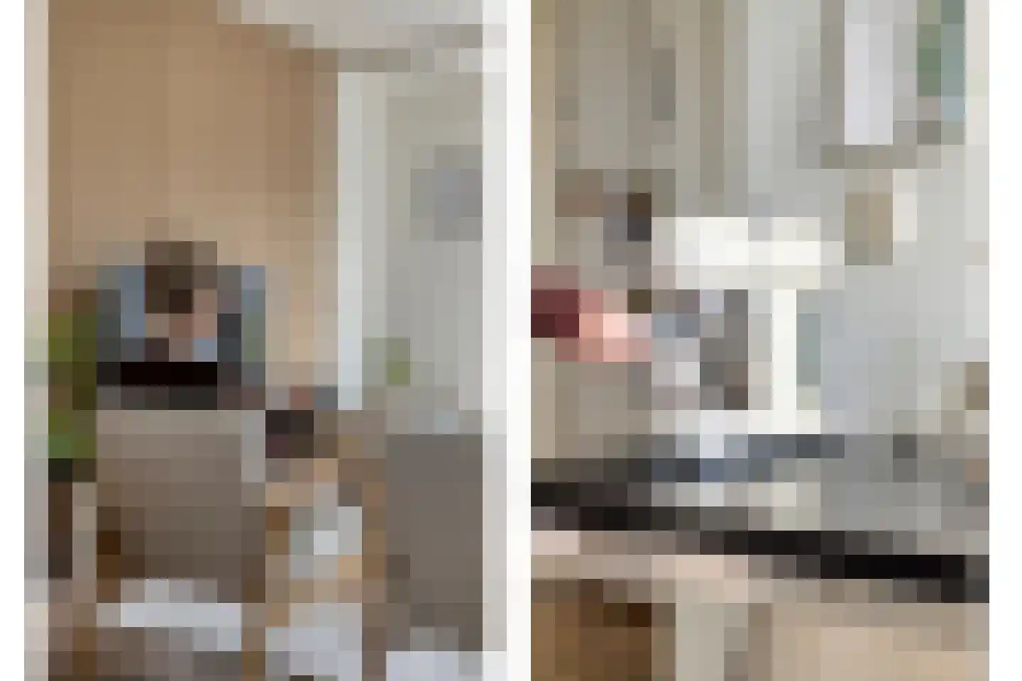 Kalverkamplaan 10 Uitgeest thumbnail 16