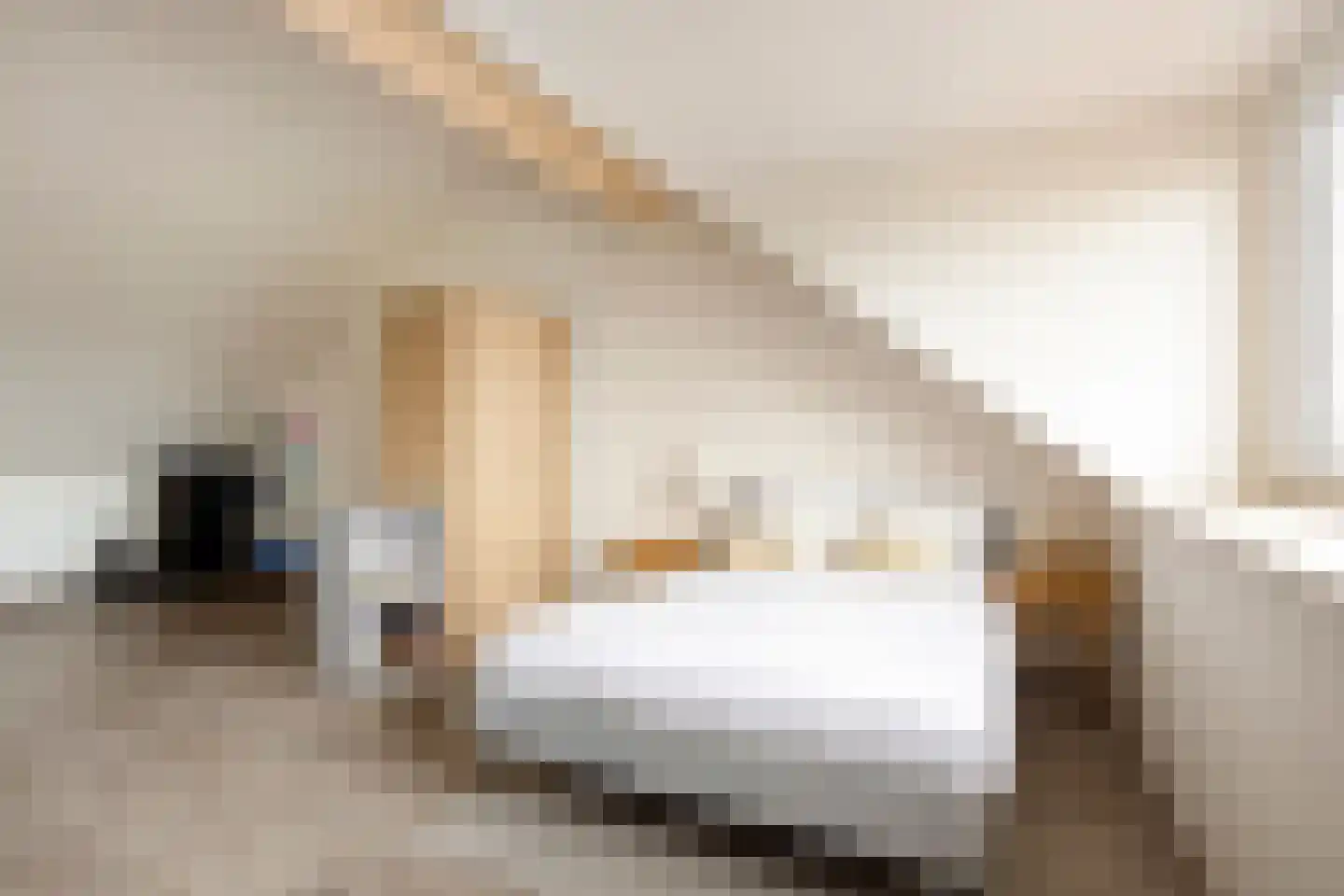Kalverkamplaan 10 Uitgeest thumbnail 28
