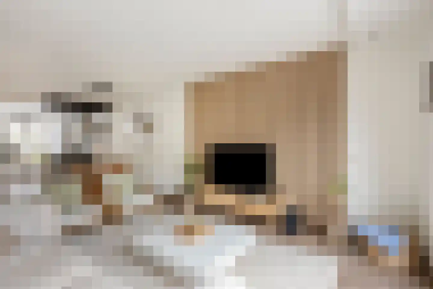 Kalverkamplaan 10 Uitgeest thumbnail 6