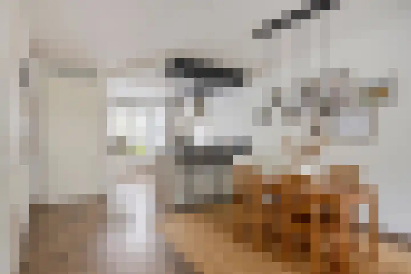 Kalverkamplaan 10 Uitgeest thumbnail 8