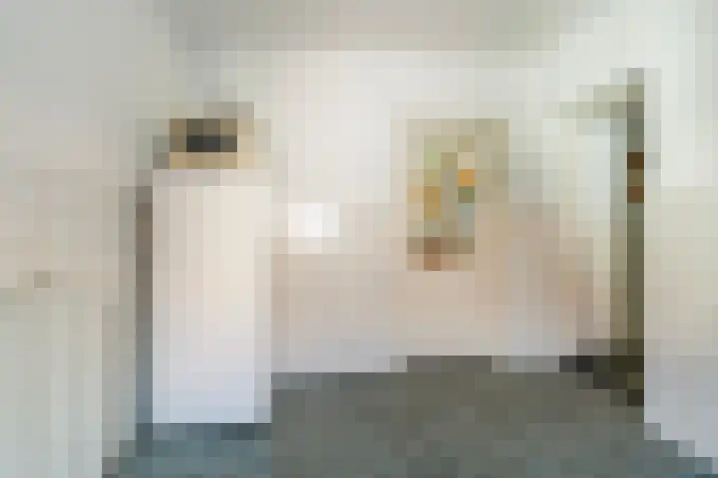 Kalverlaan 10 Rekken thumbnail 21