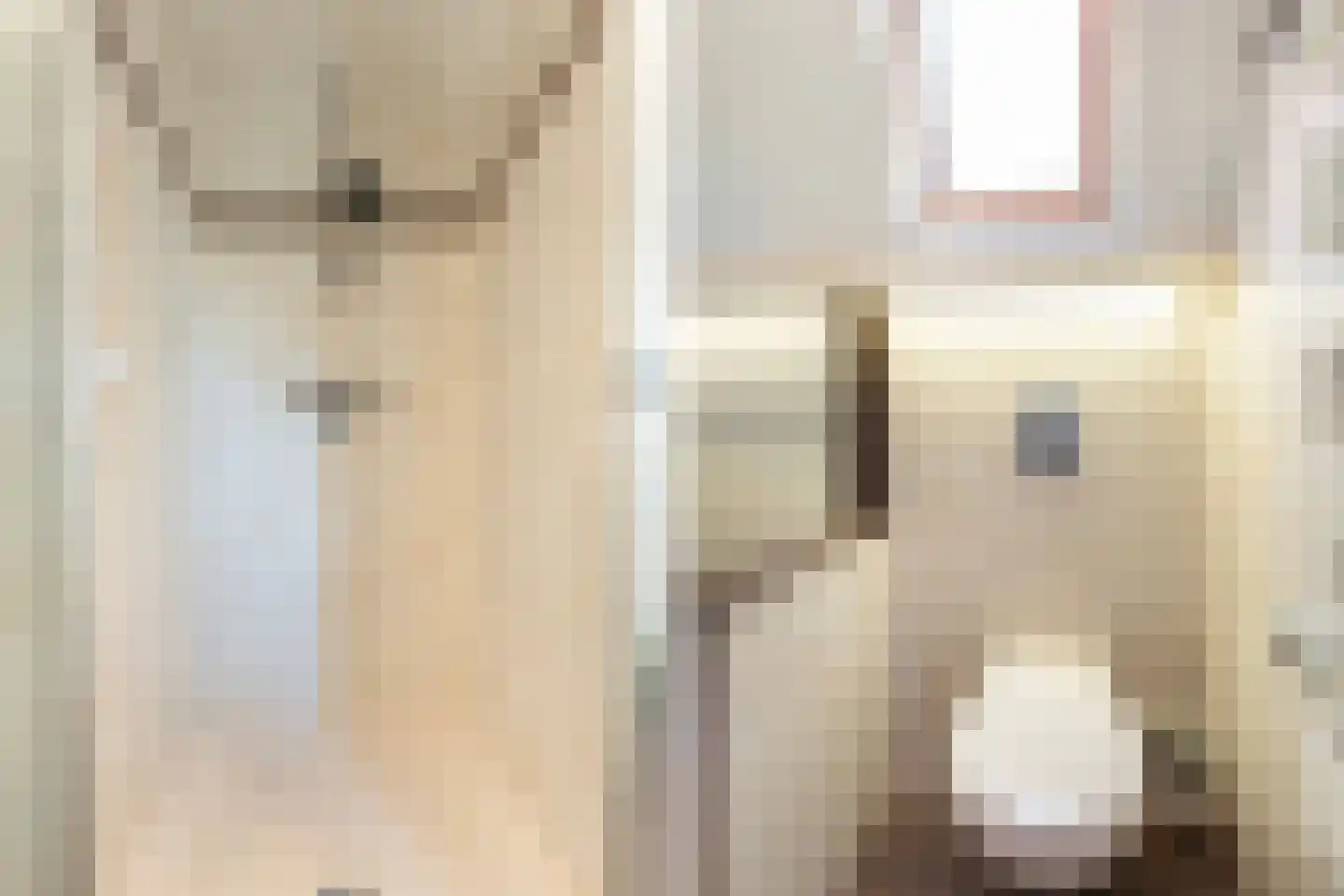 Kalverlaan 10 Rekken thumbnail 31