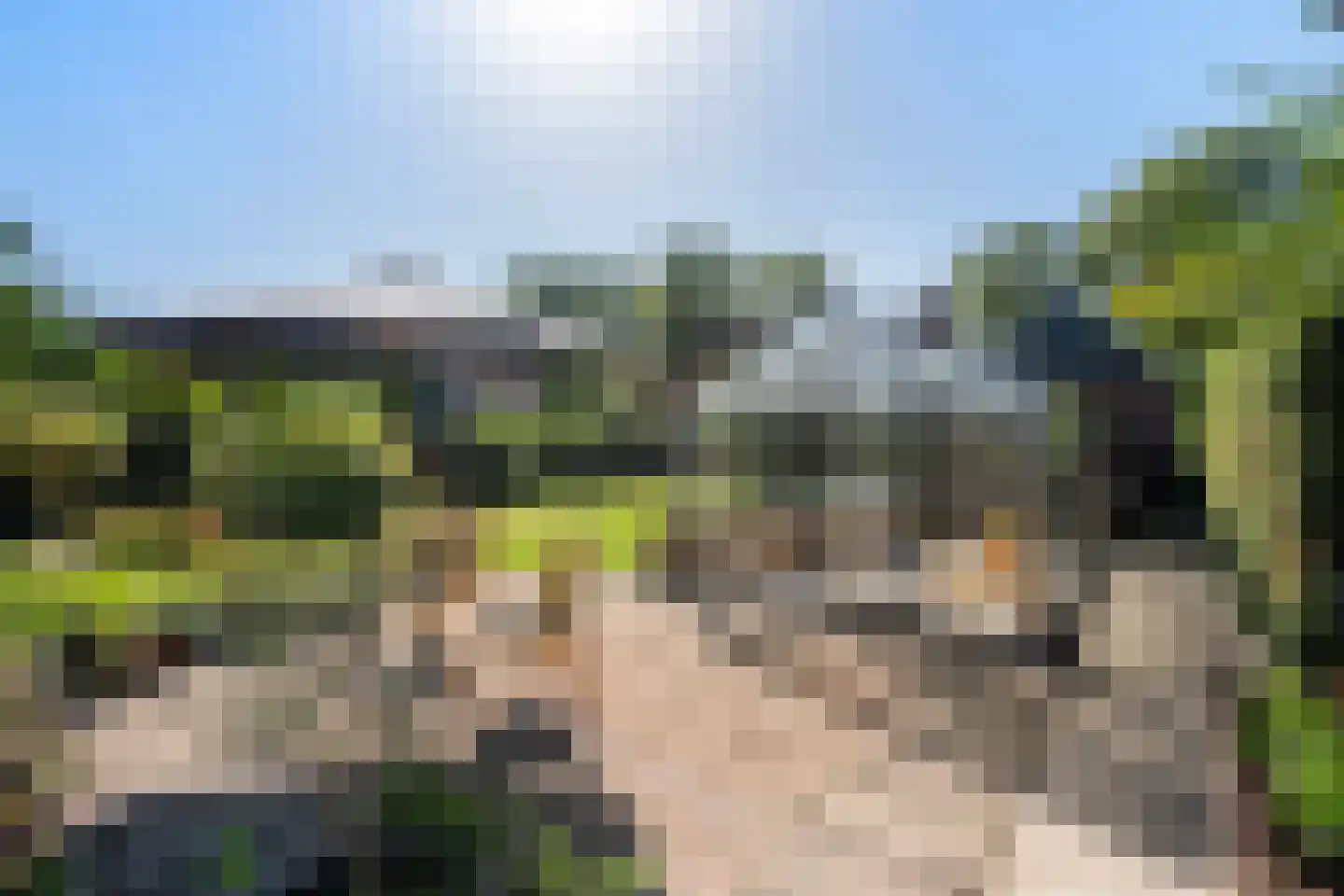 Kalverlaan 10 Rekken thumbnail 37