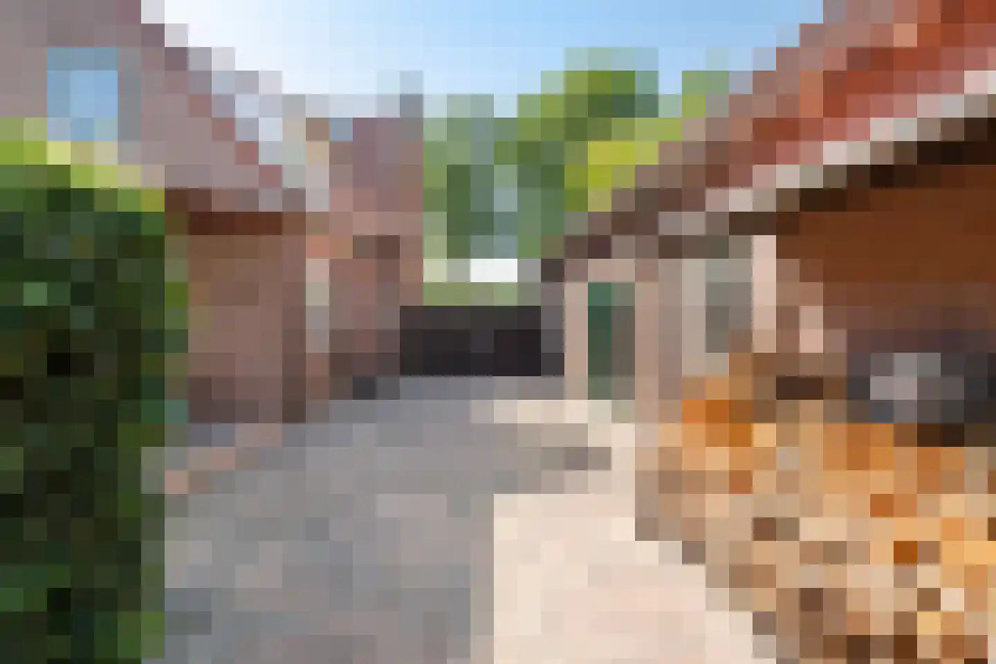 Kalverlaan 10 Rekken thumbnail 40
