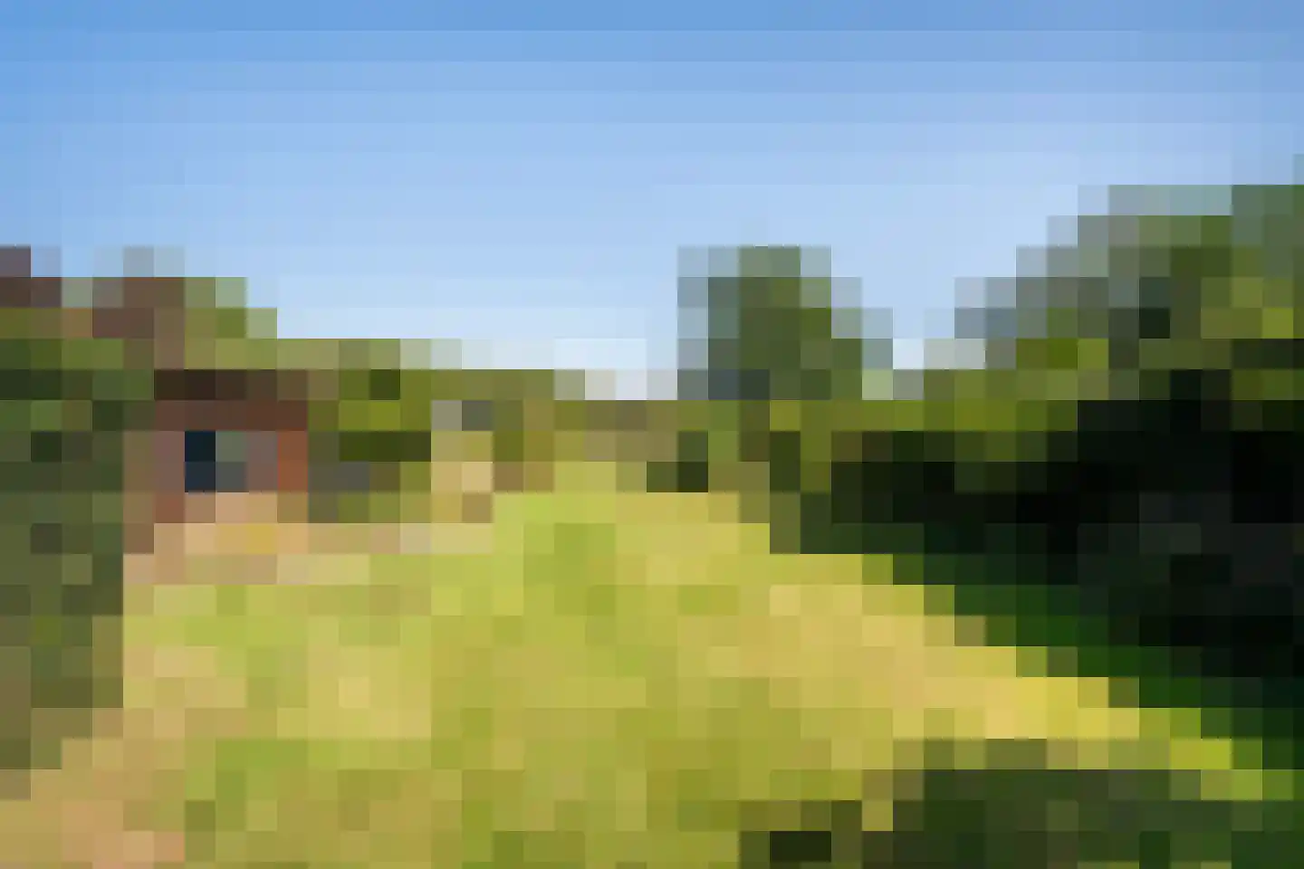 Kalverlaan 10 Rekken thumbnail 43