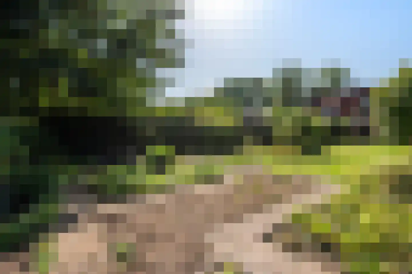 Kalverlaan 10 Rekken thumbnail 45