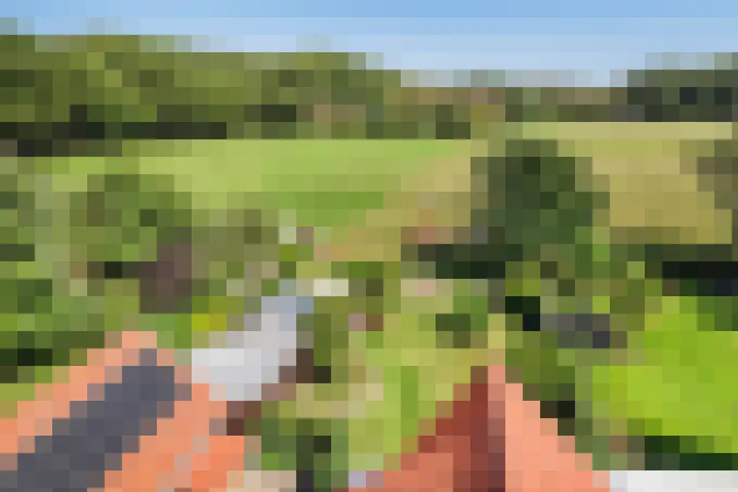Kalverlaan 10 Rekken thumbnail 46
