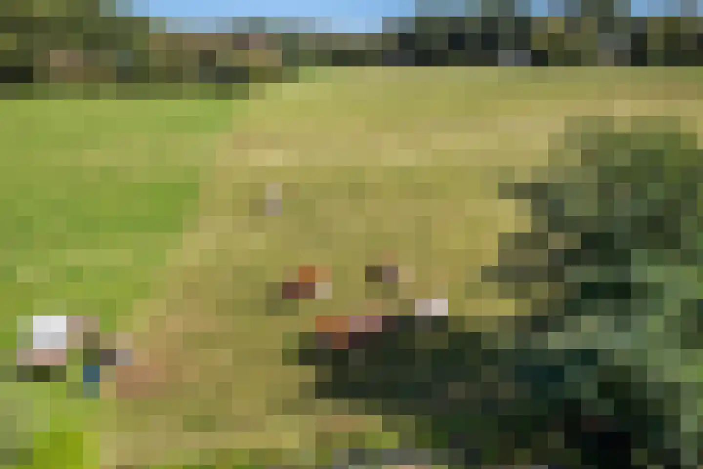 Kalverlaan 10 Rekken thumbnail 47