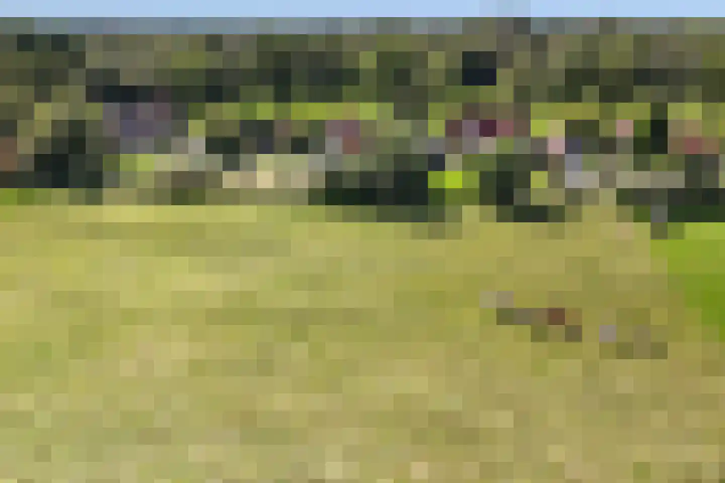 Kalverlaan 10 Rekken thumbnail 48