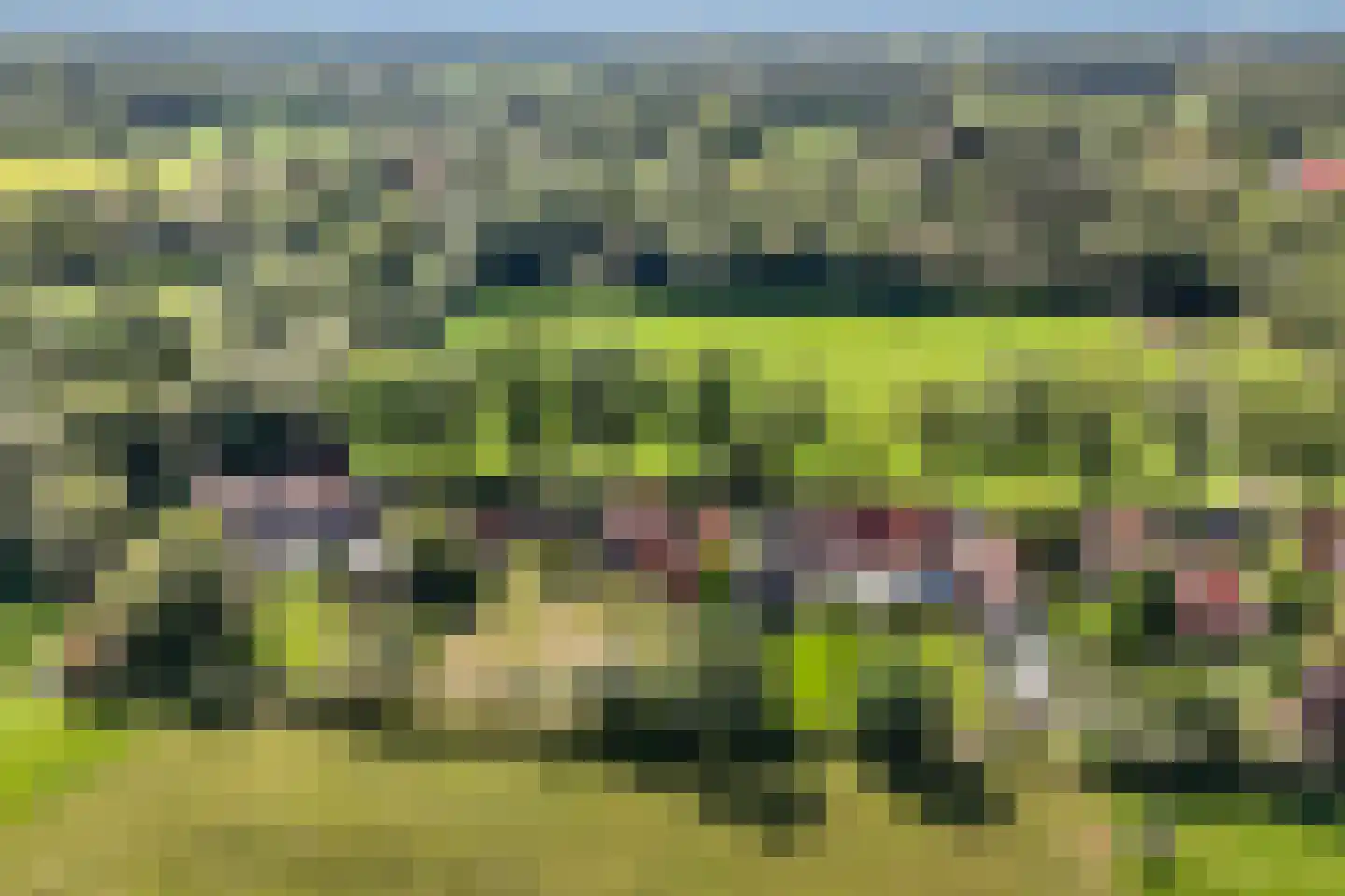 Kalverlaan 10 Rekken thumbnail 49