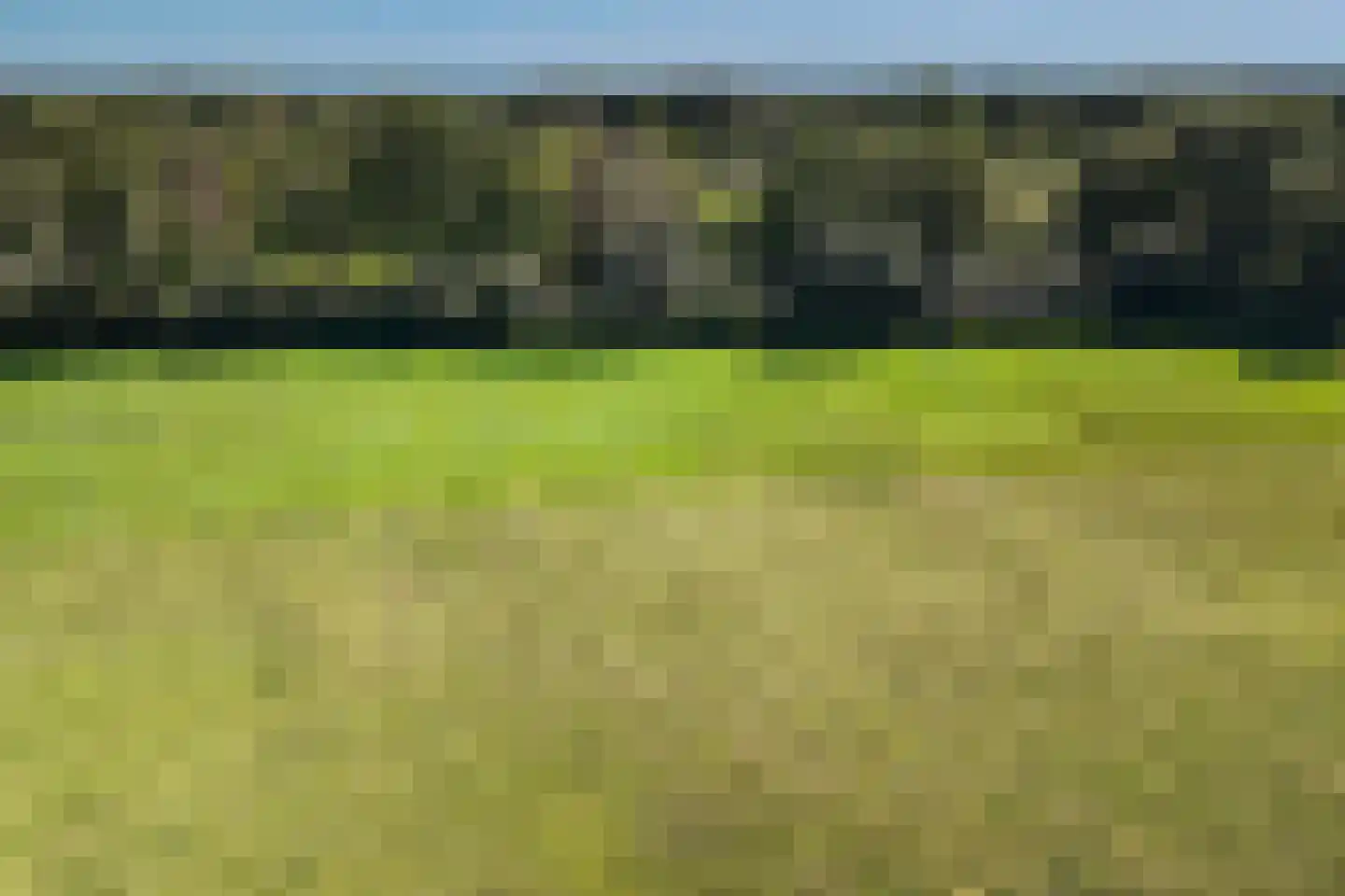 Kalverlaan 10 Rekken thumbnail 50