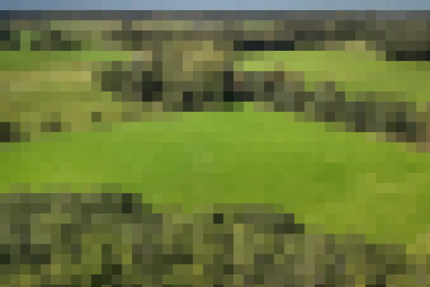 Kalverlaan 10 Rekken thumbnail 51