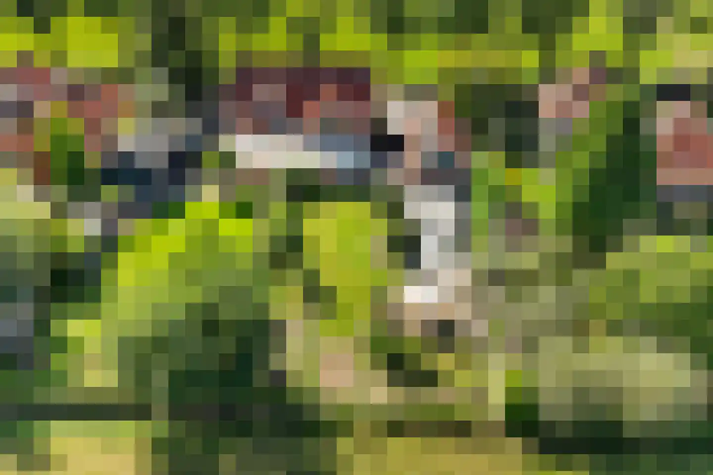 Kalverlaan 10 Rekken thumbnail 52