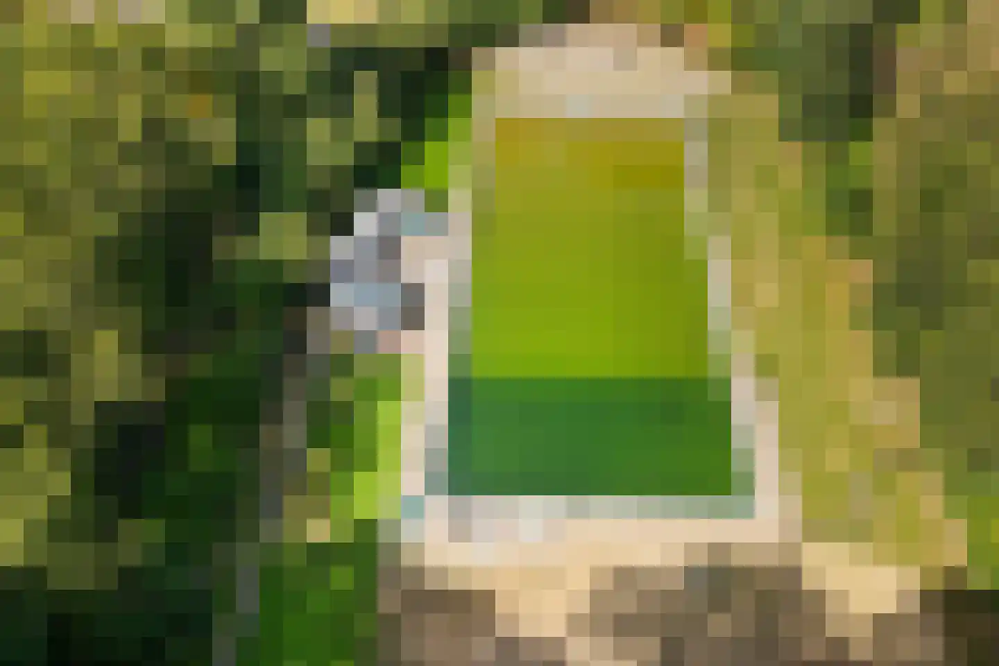 Kalverlaan 10 Rekken thumbnail 53