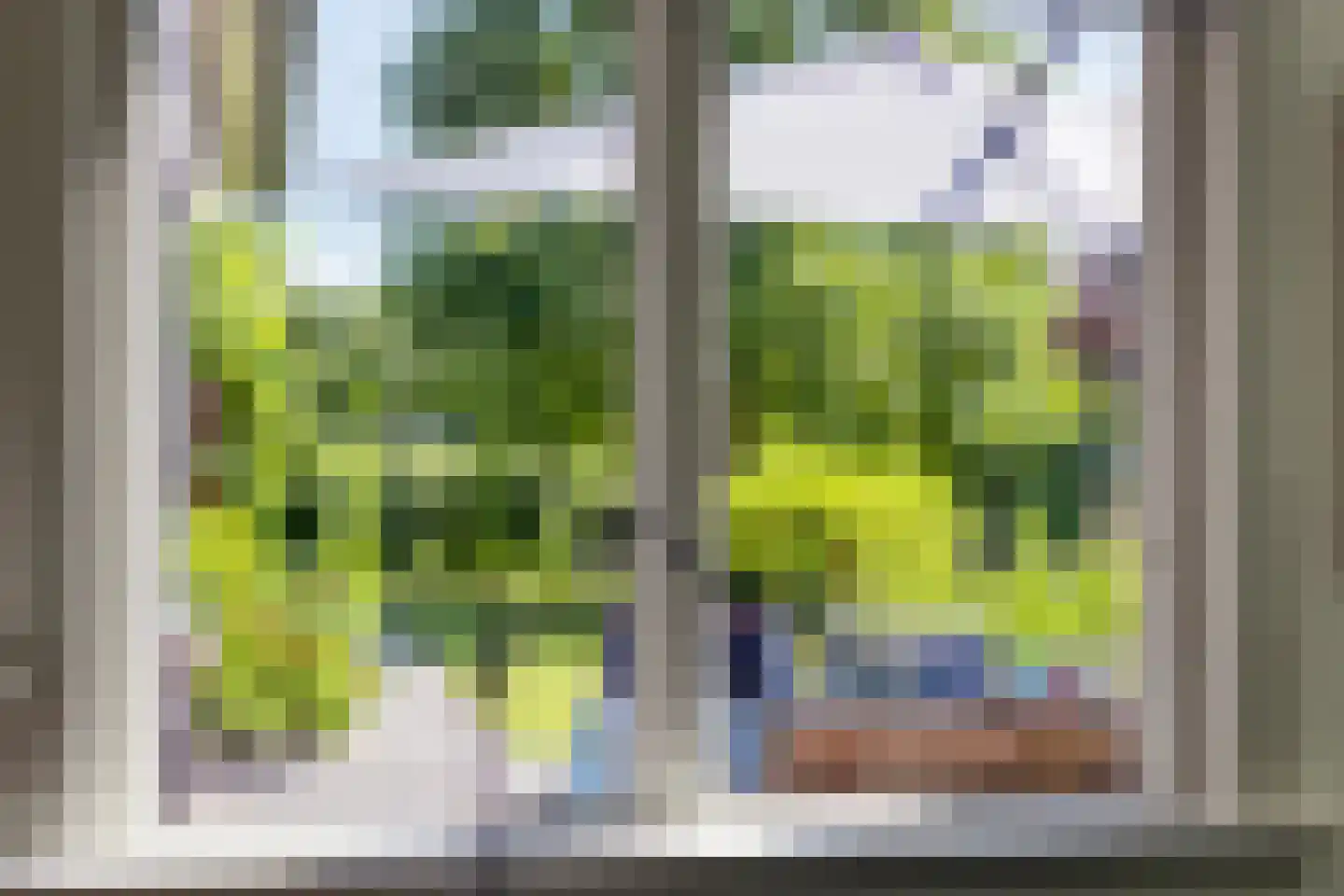 Kalverlaan 12 Rekken thumbnail 22