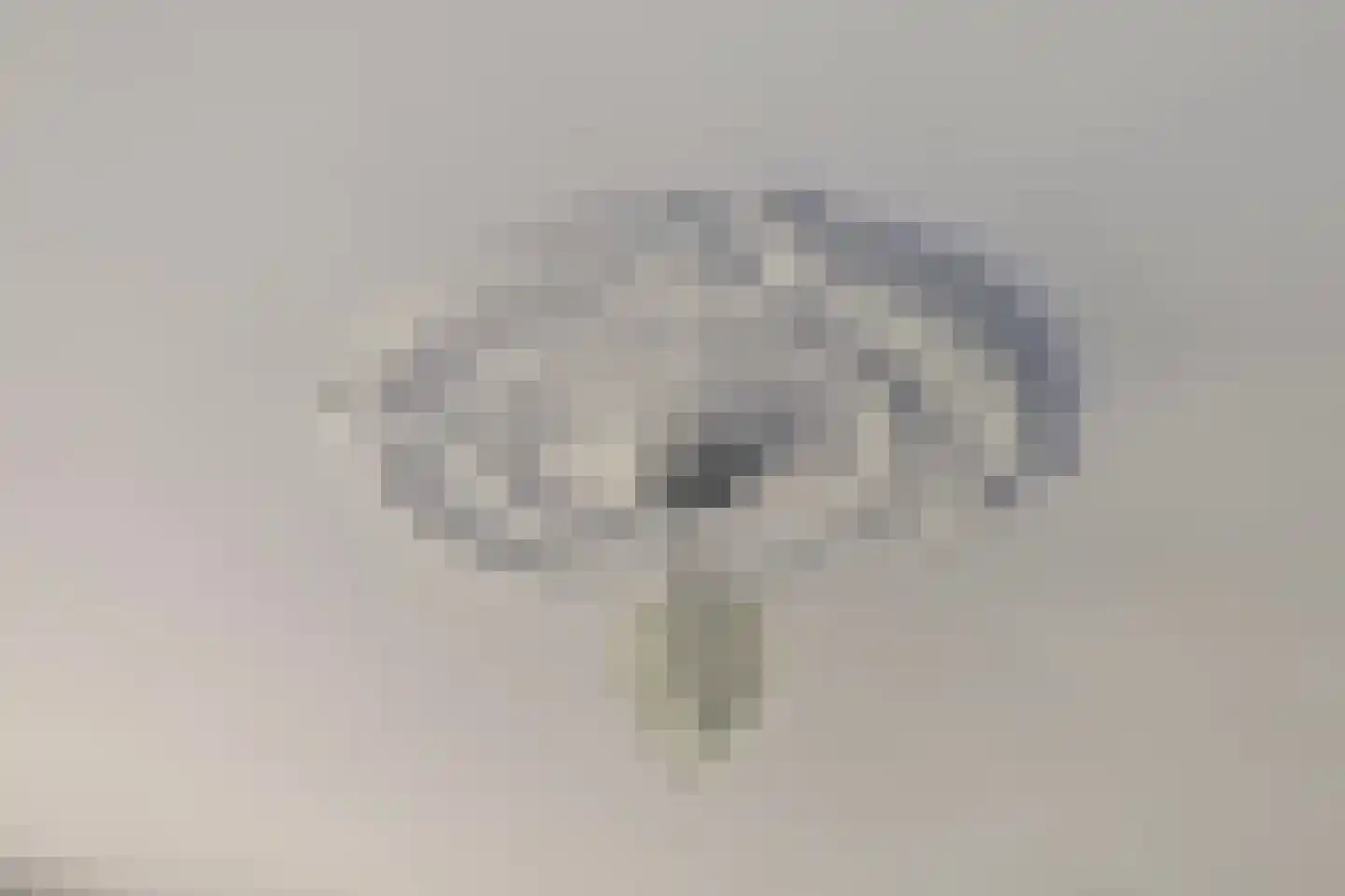 Kalverlaan 12 Rekken thumbnail 35